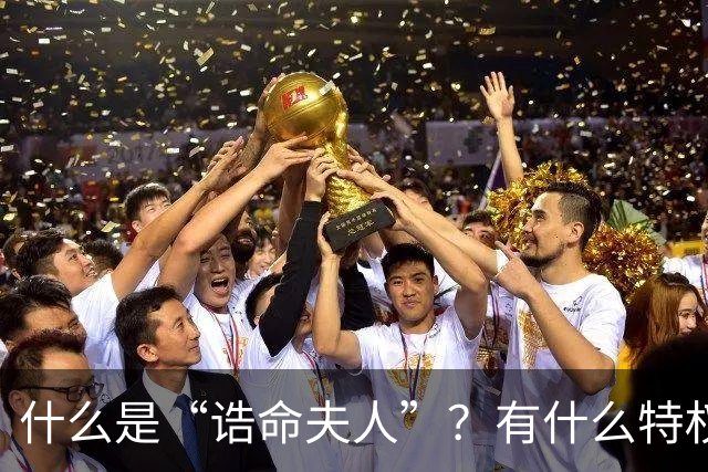 什么是“诰命夫人”？有什么特权和好处