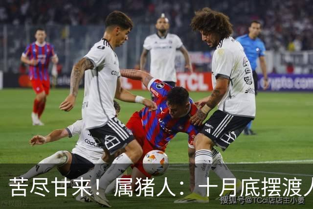 苦尽甘来！属猪人：十月底"摆渡人"悄然降临