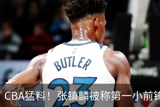 CBA猛料！张镇麟被称第一小前锋，麦基比赛态度变好，拉塞尔伤病出炉